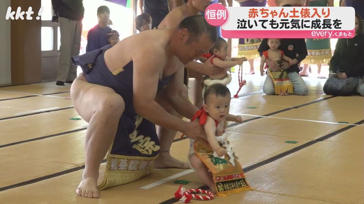 はっけよい！行って！お願い！」意外な取組に盛況 赤ちゃん土俵入り 