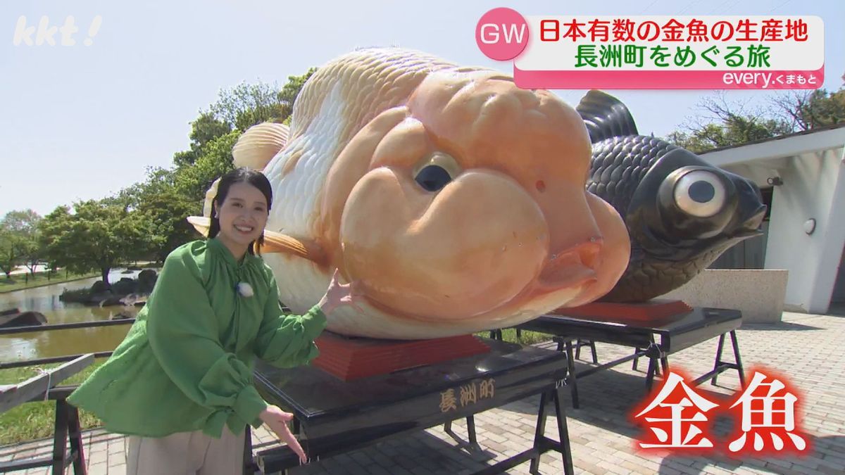 金魚すくい用に出目金！「もなか」に香港から取材も？金魚の町・長洲を 