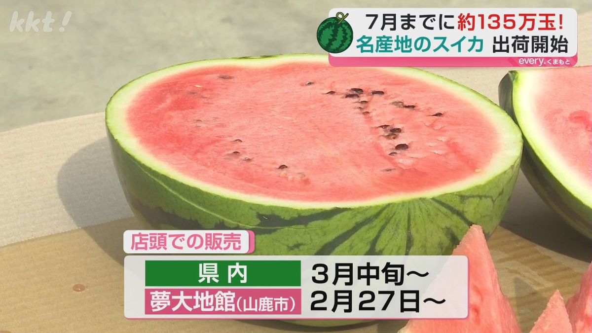 重さ5～6キロのスイカ2500玉！スイカの名産地で出荷始まる（2026年2月 
