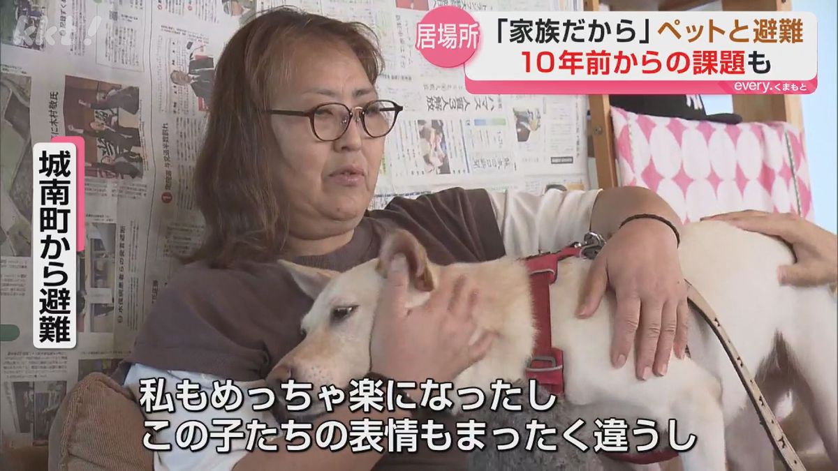 「一緒がいいです。家族だから」10年前の教訓生かし“ペットと一緒に過ごせる”避難所の取り組み（2026年8月10日掲載）｜KKT NEWS NNN