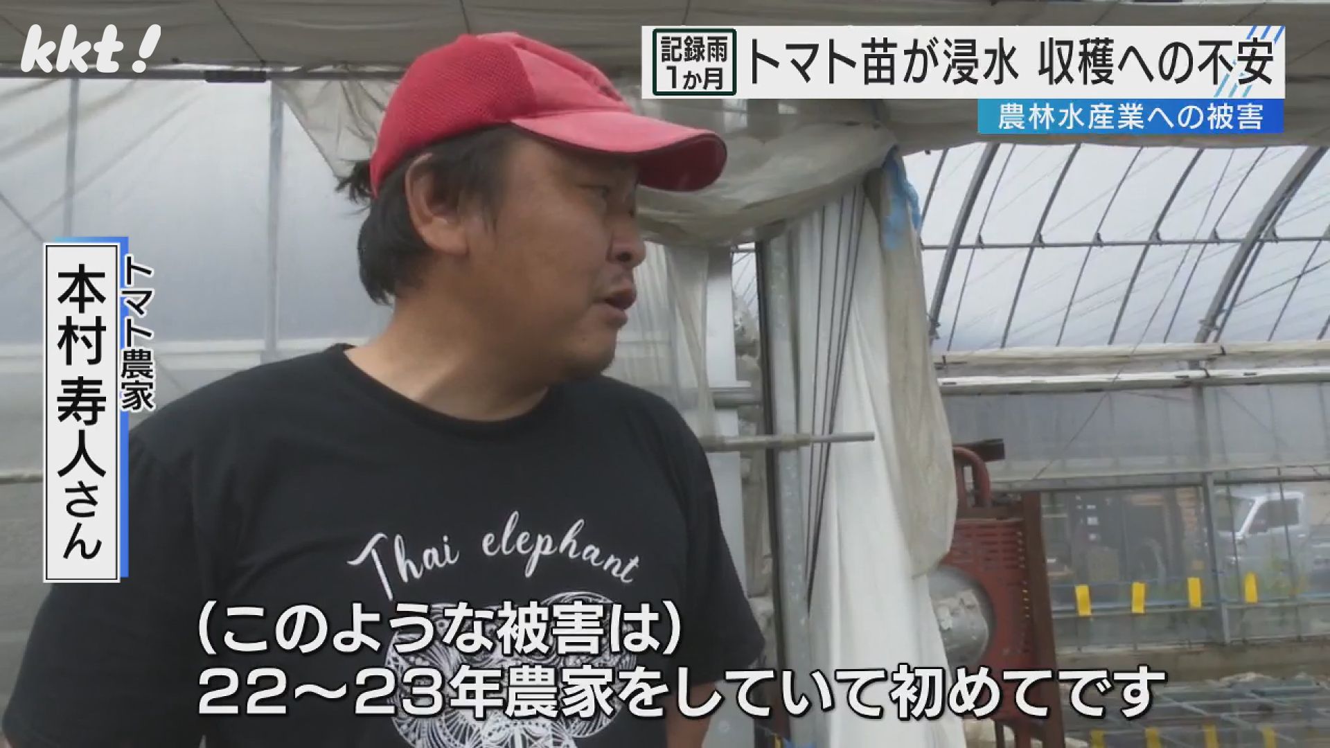 記録的大雨】深刻な農業被害 畳の「イグサ」も…1か月で総額約799億円に