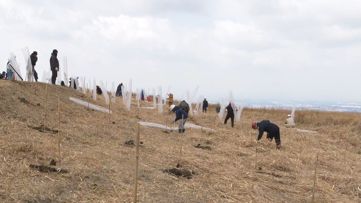 ｢熊本の水を守る｣熊本ロータリークラブが植樹