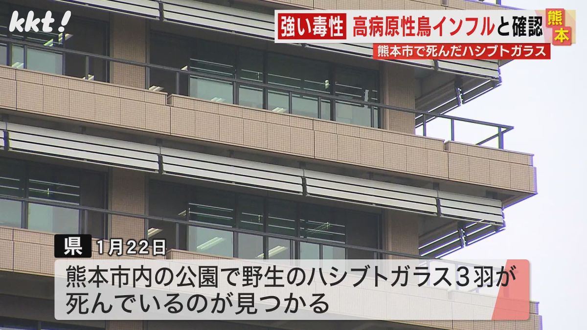 【鳥インフル】熊本市の公園で見つかったカラスから高病原性ウイルス検出