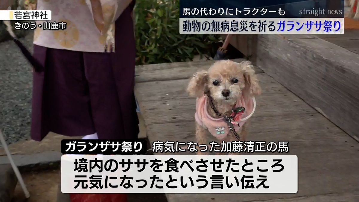 若宮神社(6日･山鹿市)