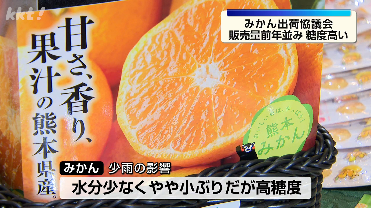 秋みかん出荷協議会 地震の果実への被害なく販売量は前年並みの2万6400