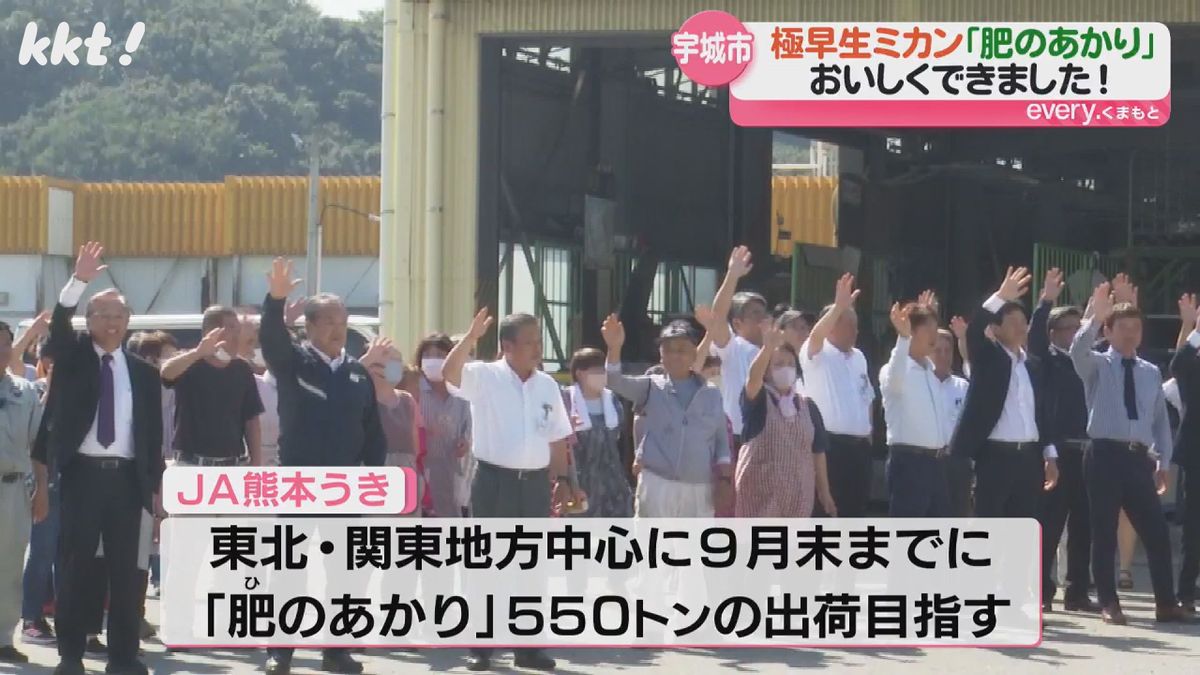 JA熊本うきは9月末までに550トンの出荷を目指す