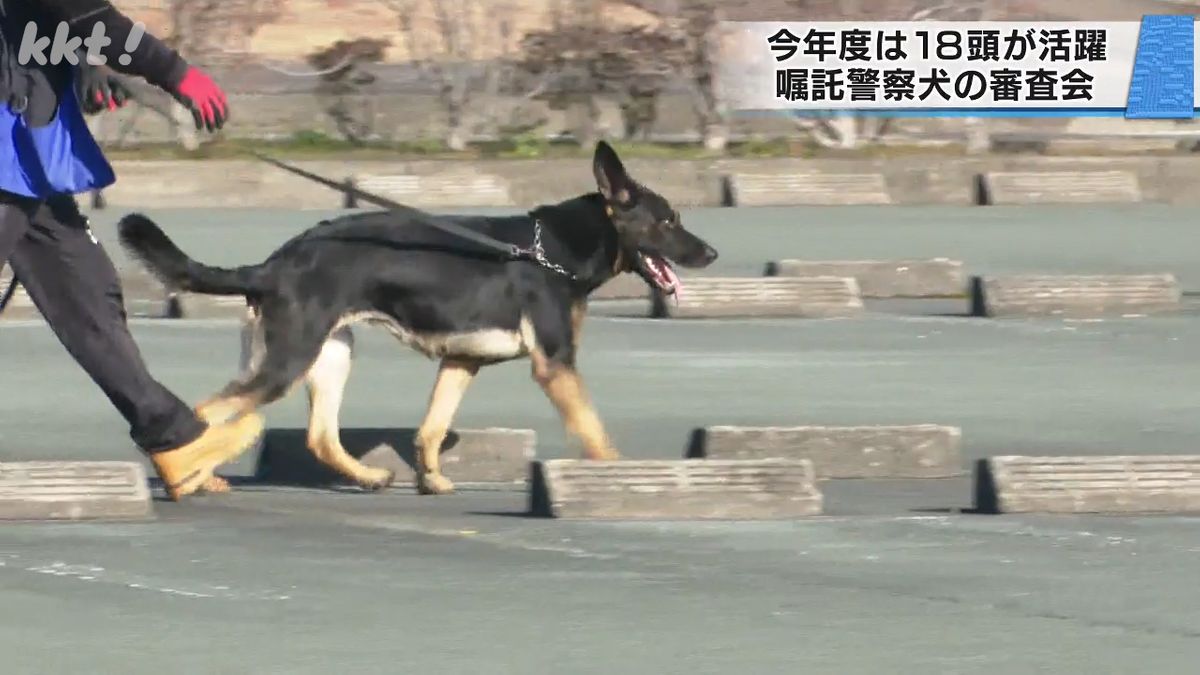 嘱託警察犬の審査会 足跡をたどる審査や爆発物を見つける審査などに挑む