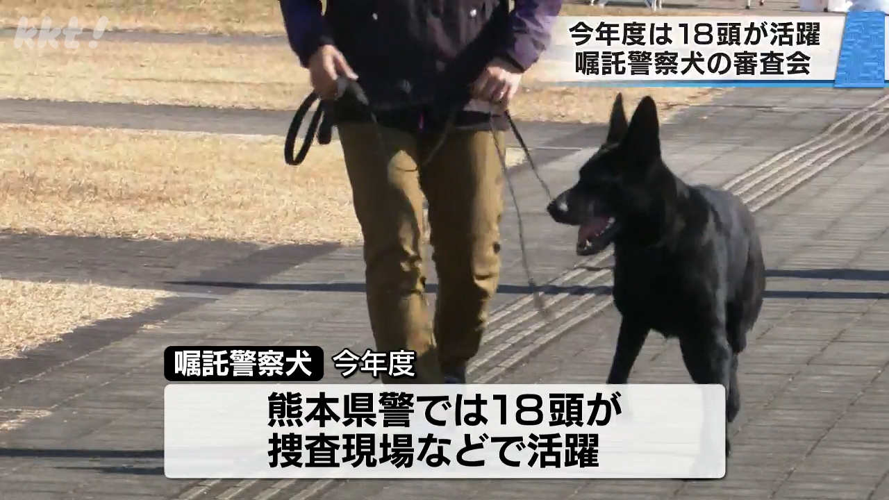 嘱託警察犬の審査会 足跡をたどる審査や爆発物を見つける審査などに