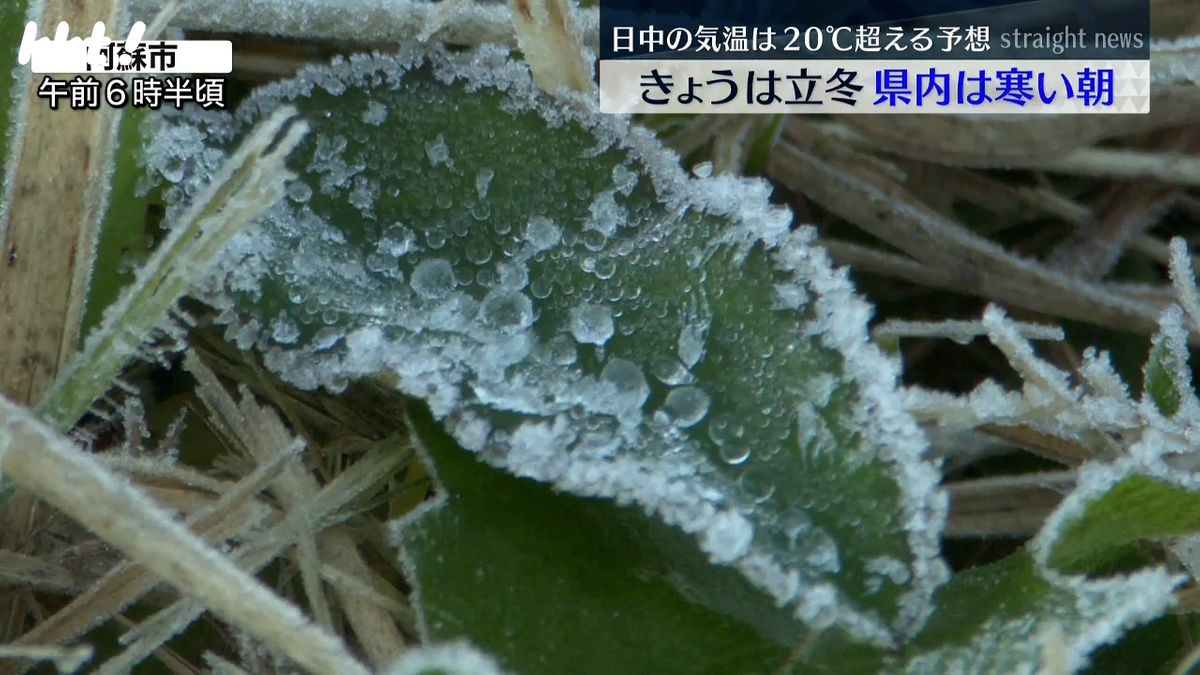 立冬｢急に寒くなった｣阿蘇では霜 一昨日まで連続夏日の熊本市も寒い朝