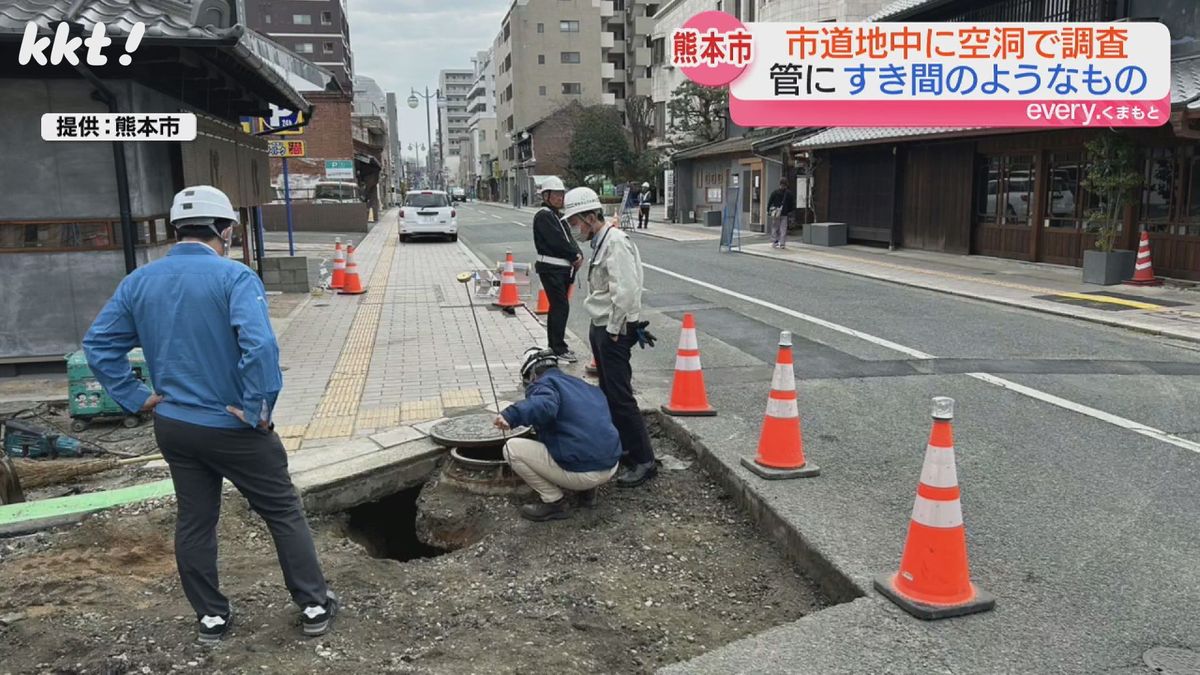 熊本市による調査