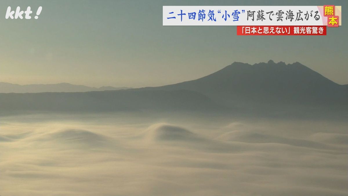 【幻想的】綿を敷き詰めたような雲を朝日が照らす 阿蘇谷で雲海