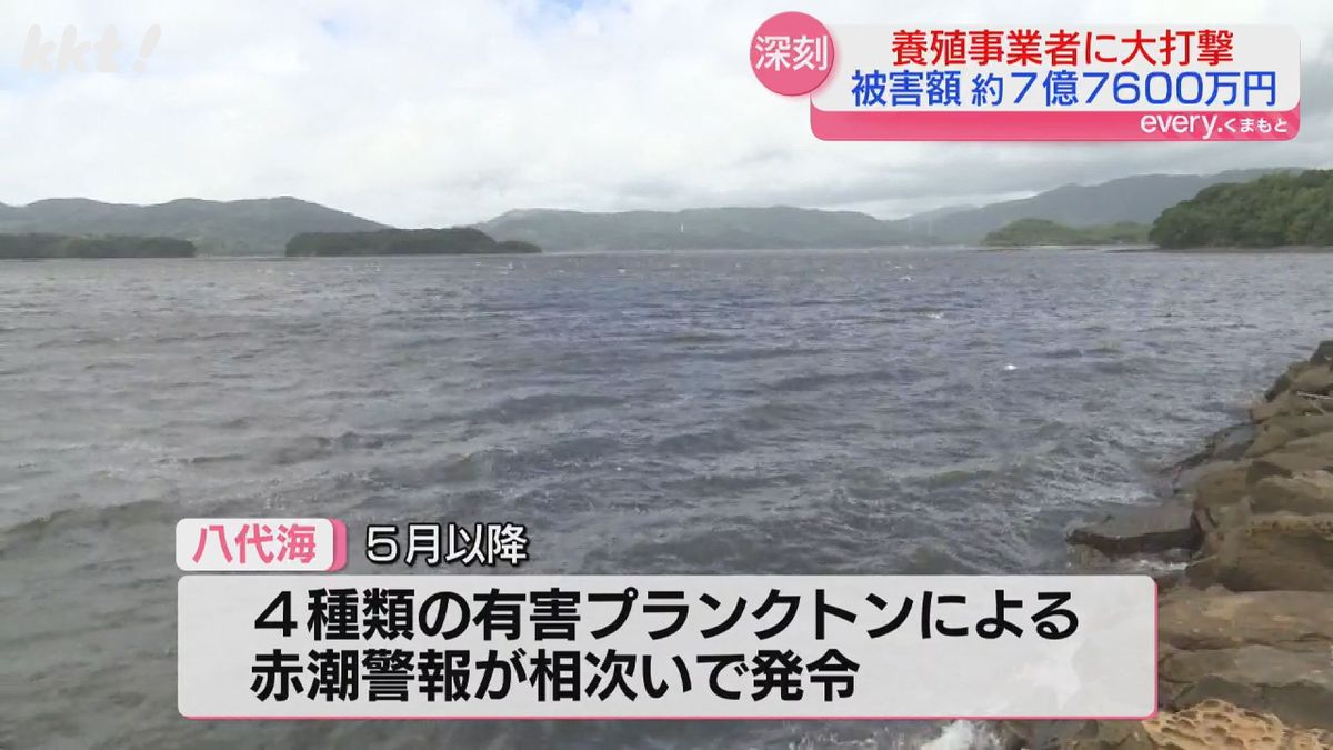 八代海では4種類の有害プランクトンによる赤潮警報発令