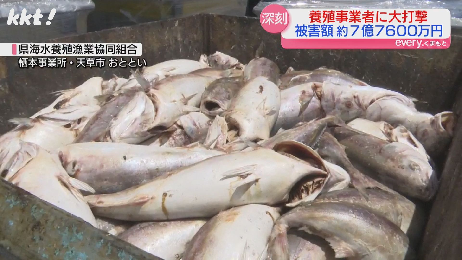 海砂利水魚出演「われら地球県民」熊本県環境基本計画ビデオ