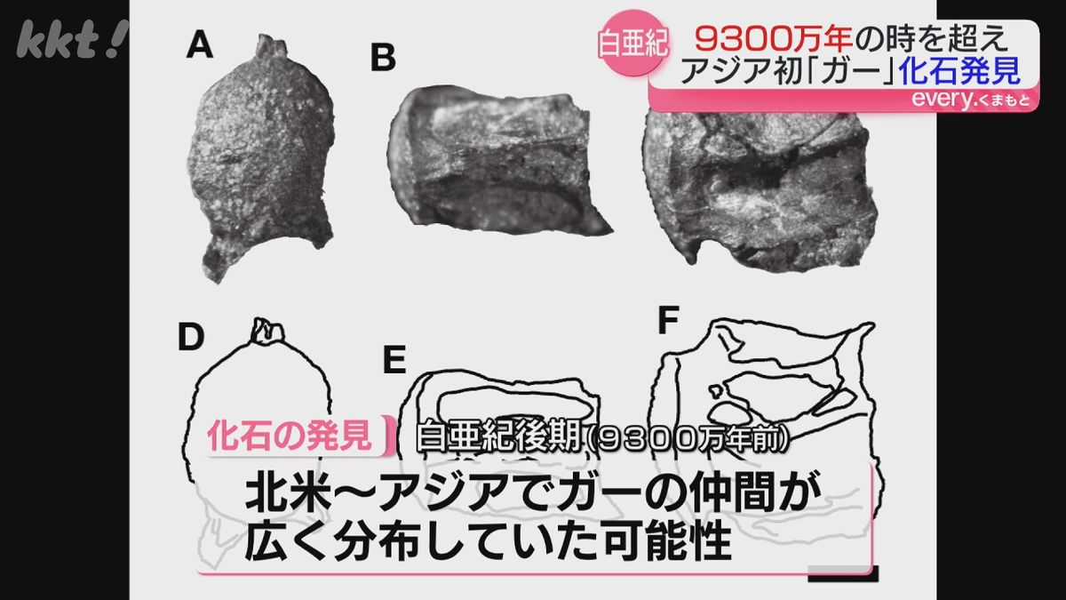 恐竜化石調査で「また魚の化石か…」よく調べたら
