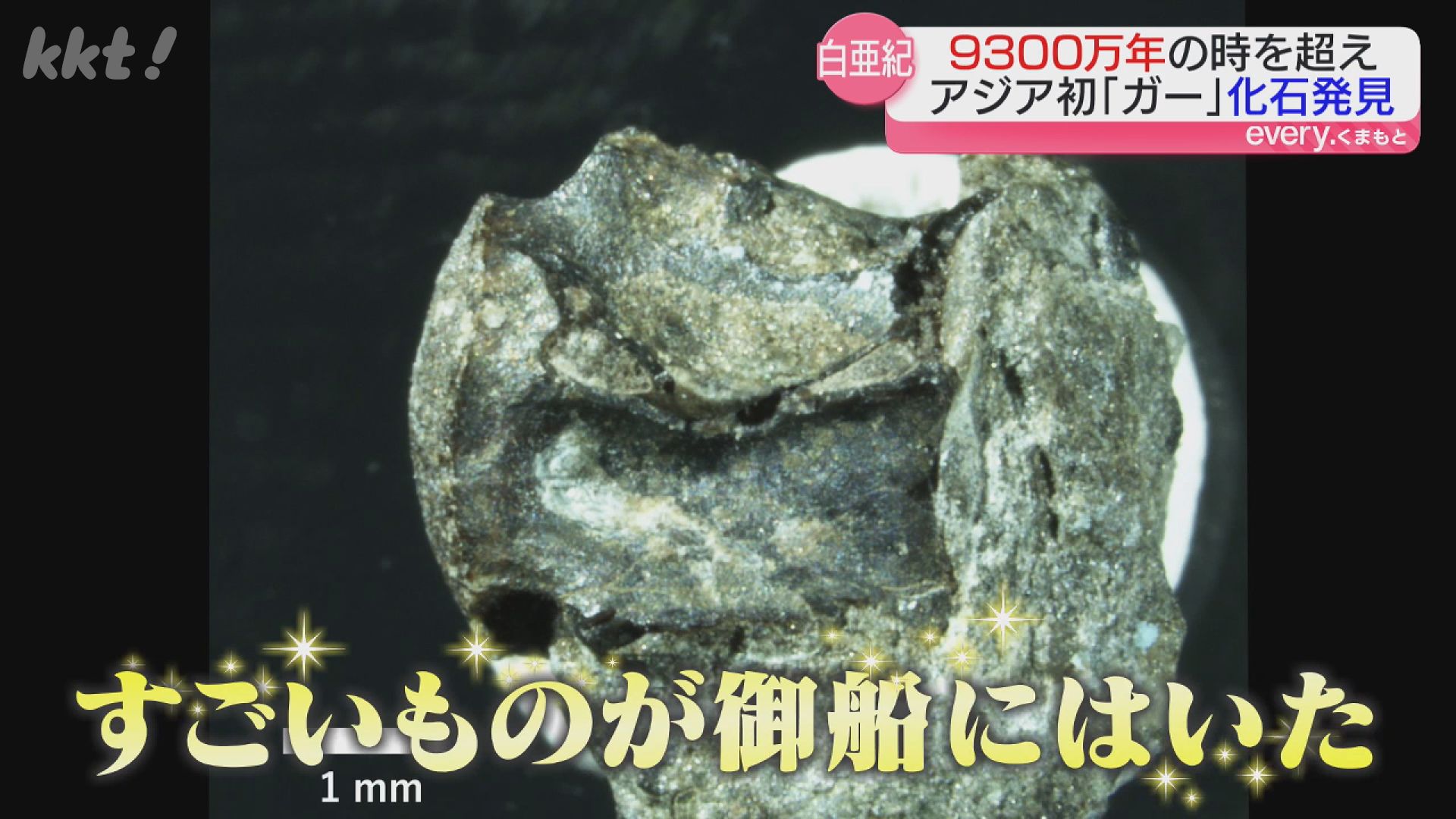 恐竜化石調査で「また魚の化石か…」よく調べたら