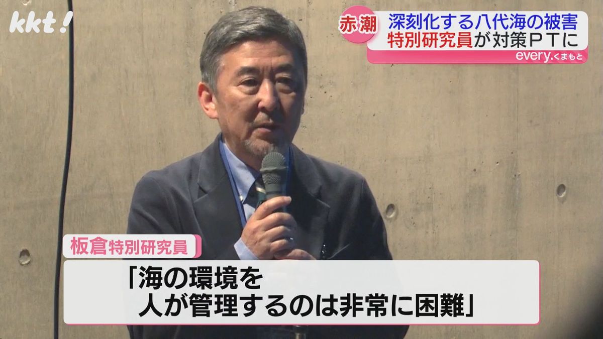 4年連続赤潮発生中 八代海の被害防ぐプロジェクトチーム発足