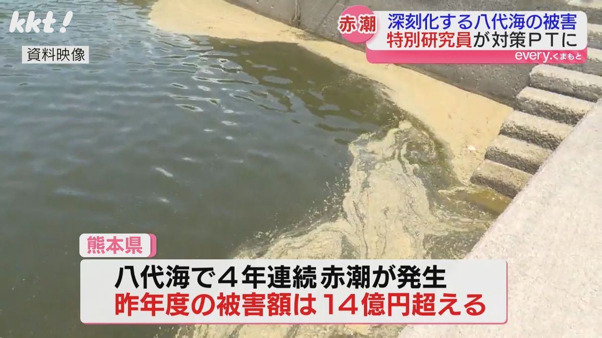 昨年度被害額は14億円超