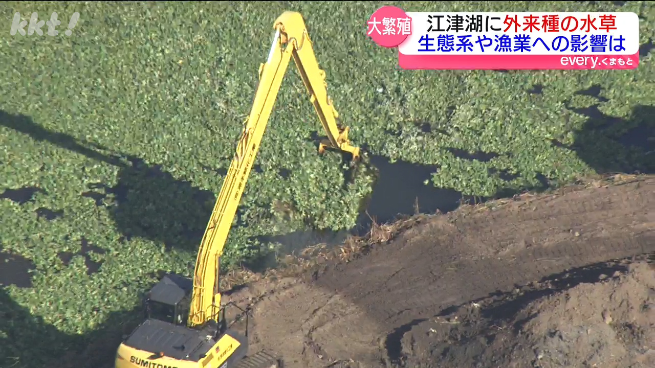 大量繁殖】川や湖の
