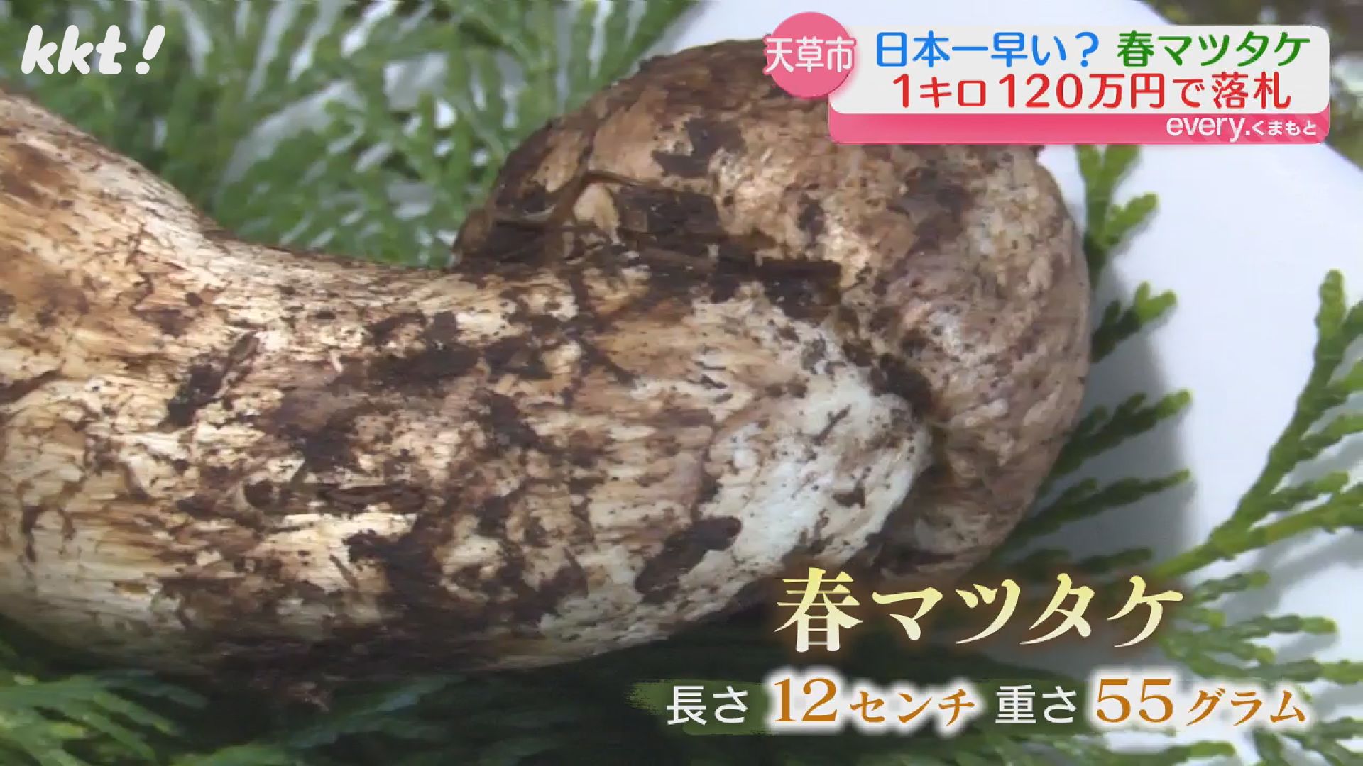うれしくてハイテンションです｣今年も高橋英樹さんが落札!天草の春