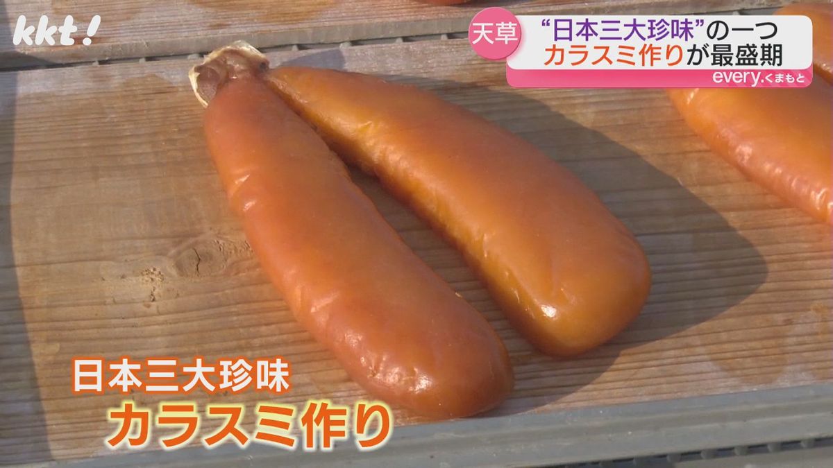 【日本三大珍味】天草でカラスミ作りが最盛期｢少しあぶって熱々ご飯に だし茶漬けもおいしい｣