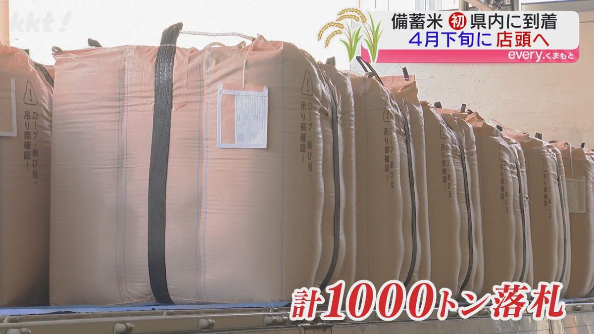 計1000トン落札