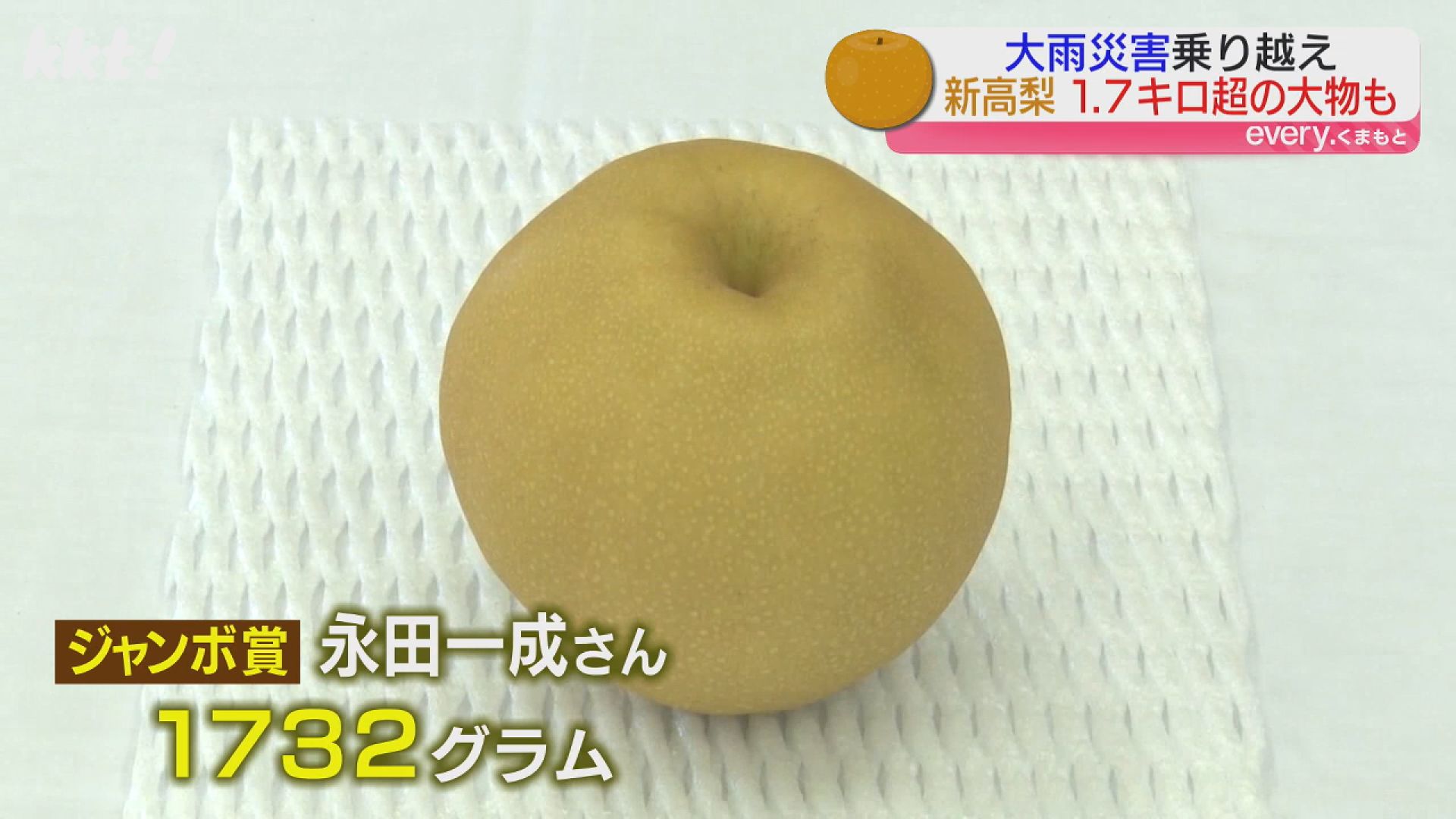 大雨災害乗り越え1.7キロ超の大物も！「新高梨」品評会（2025年9月12日