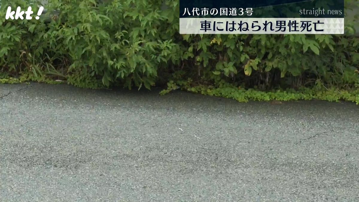 現場は路側帯はあるが歩道はない