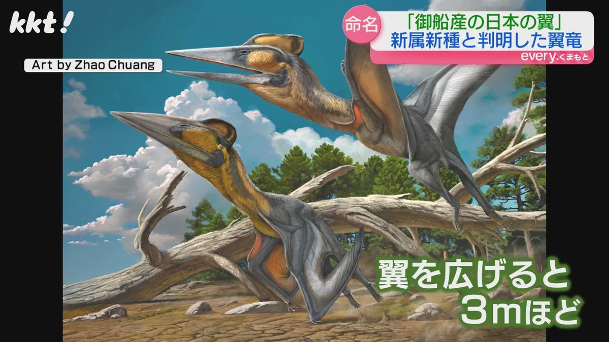 こんな感じの翼竜だった？