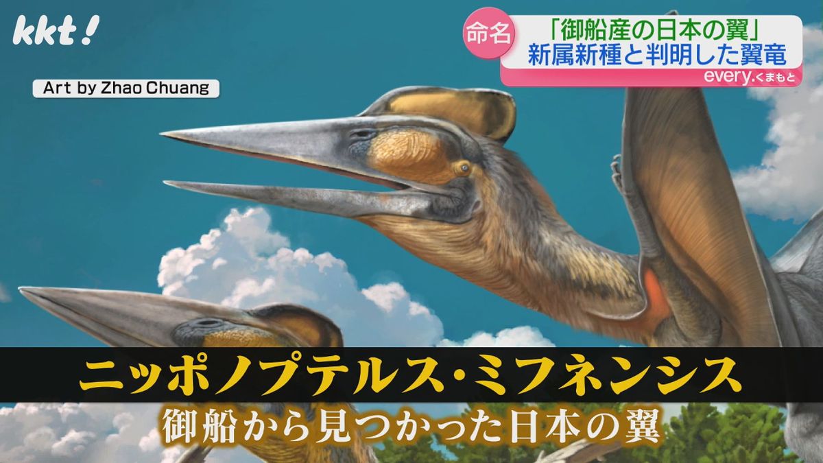 御船町で発見の化石「新種の翼竜」と判明 日本での発掘は初