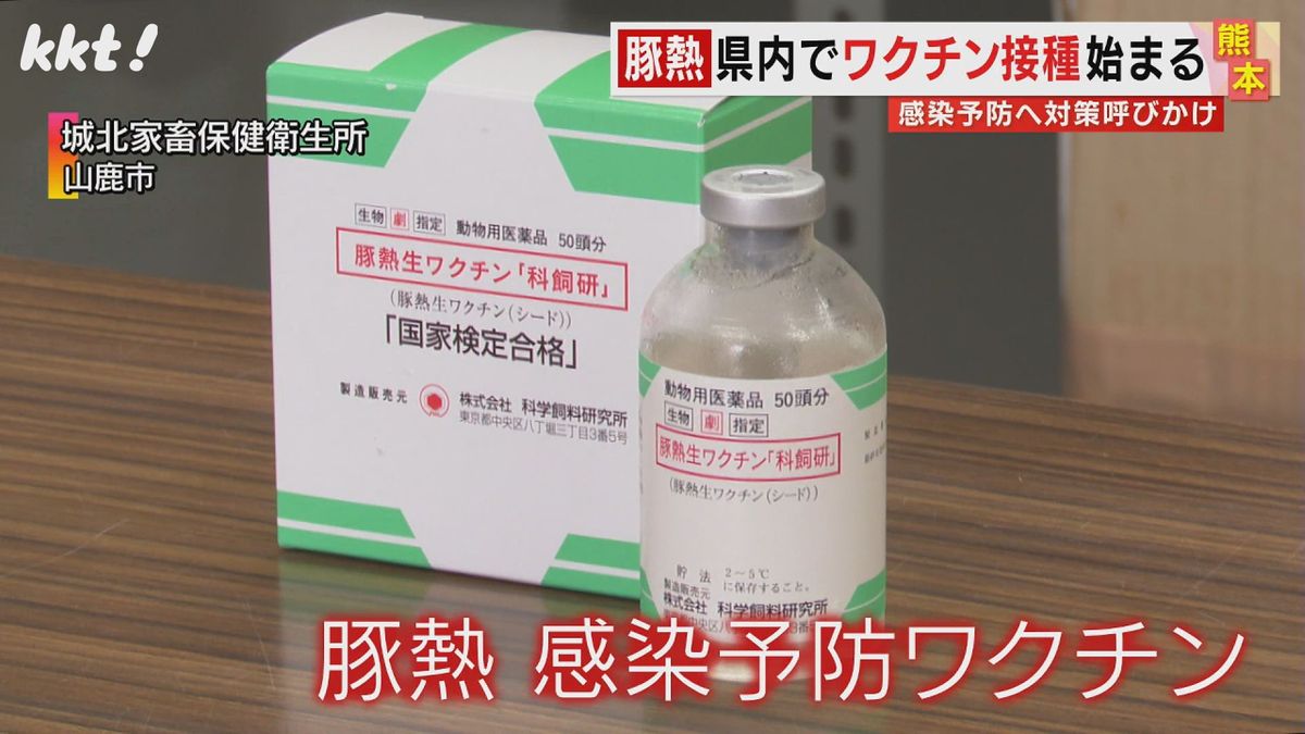 【豚熱】熊本県内でワクチン接種始まる ペット用のミニブタなども接種の対象