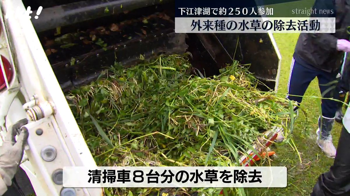 清掃車8台分の水草を除去