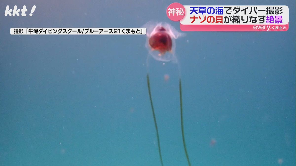 神秘】