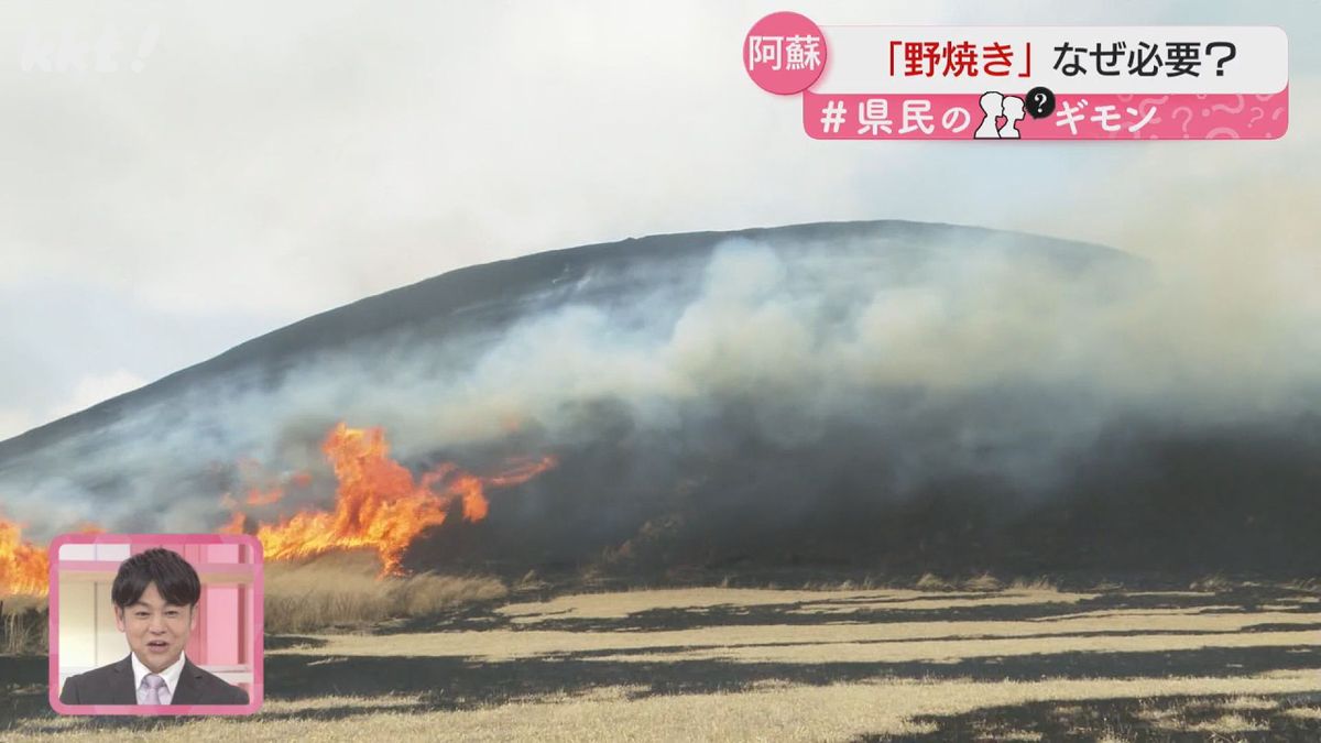 約1万6000ヘクタールの草原で野焼きが行われる