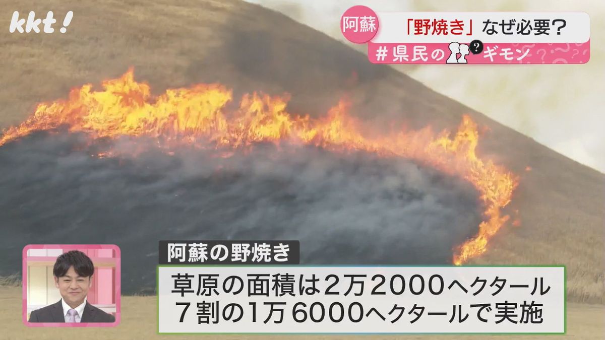 【なぜ必要?】春を告げる｢阿蘇の野焼き｣1万6千haの草原を焼く 植物へのダメージはない?