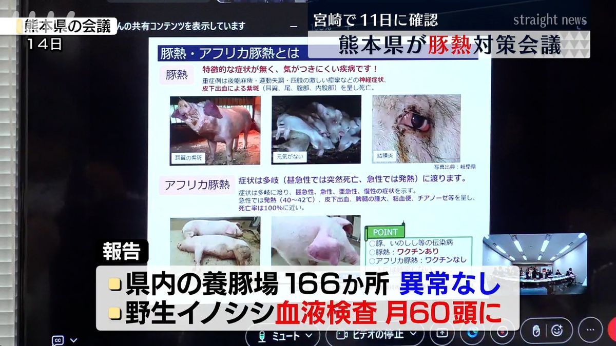 熊本県庁 14日