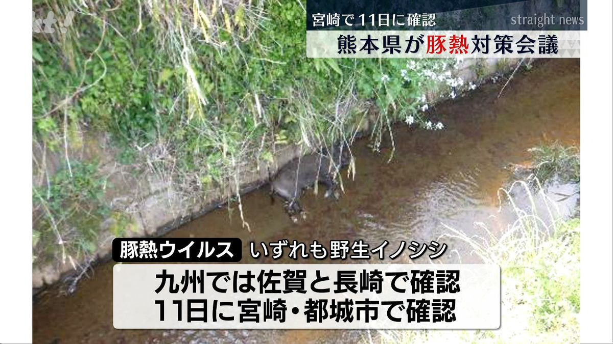 熊本県が「豚熱」対策会議 11日に宮崎県で野性イノシシからウイルス確認