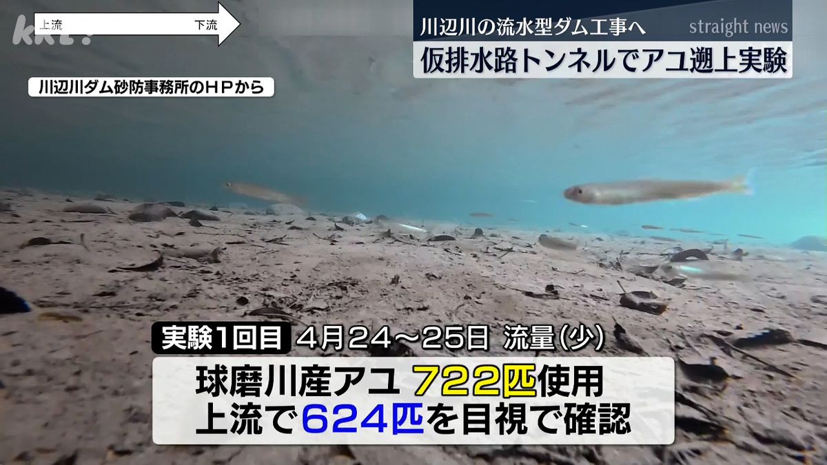 流水型ダム工事に向けて川辺川の仮排水路トンネルでアユの遡上実験