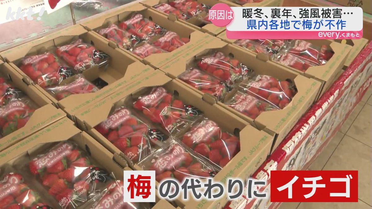 阿蘇市の直売所では梅の代わりにイチゴが並ぶ