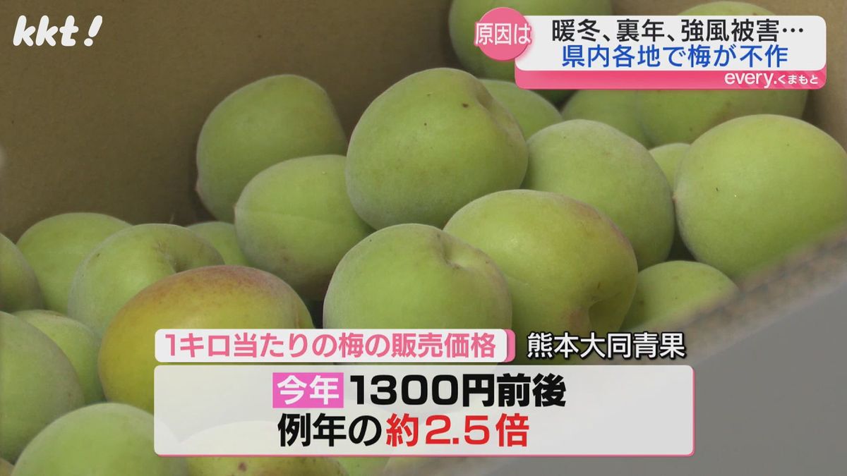 県内の梅の販売価格は例年の2.5倍ほど