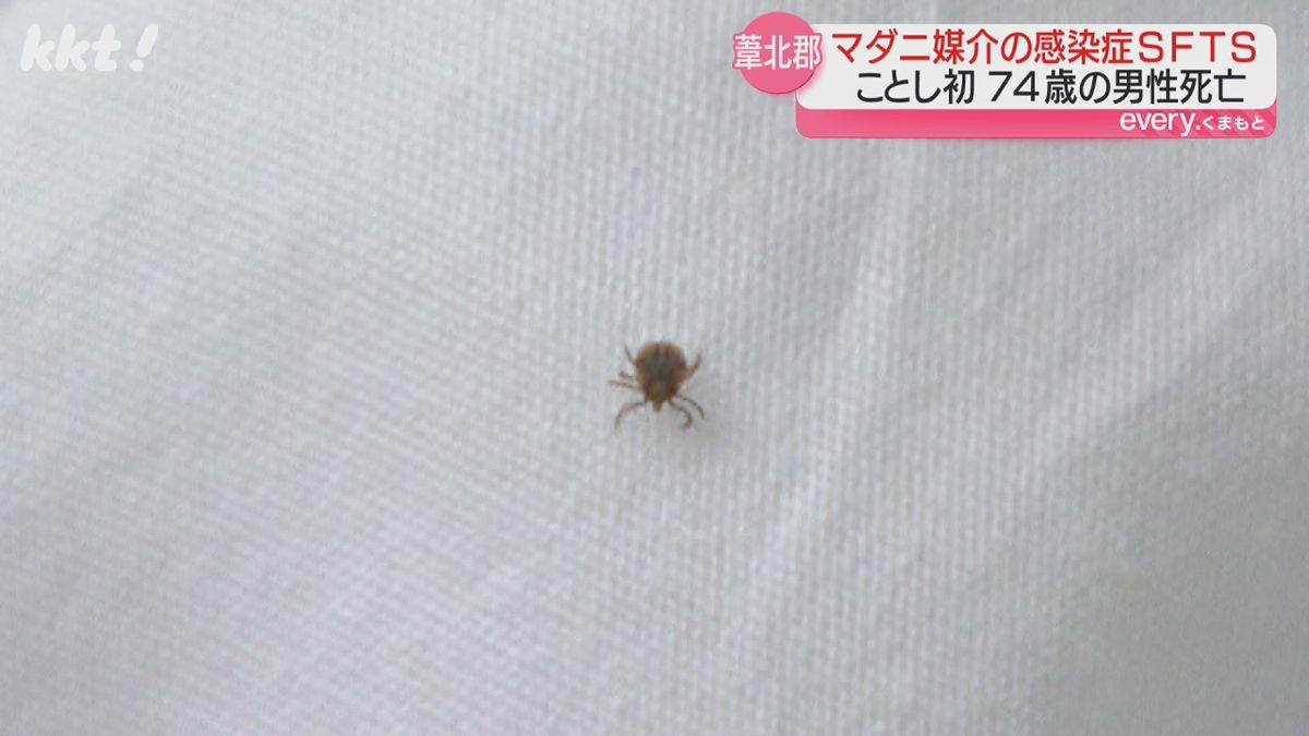 【マダニ感染症】葦北郡の男性SFTS感染し死亡 熊本市の男性は日本紅斑熱で入院