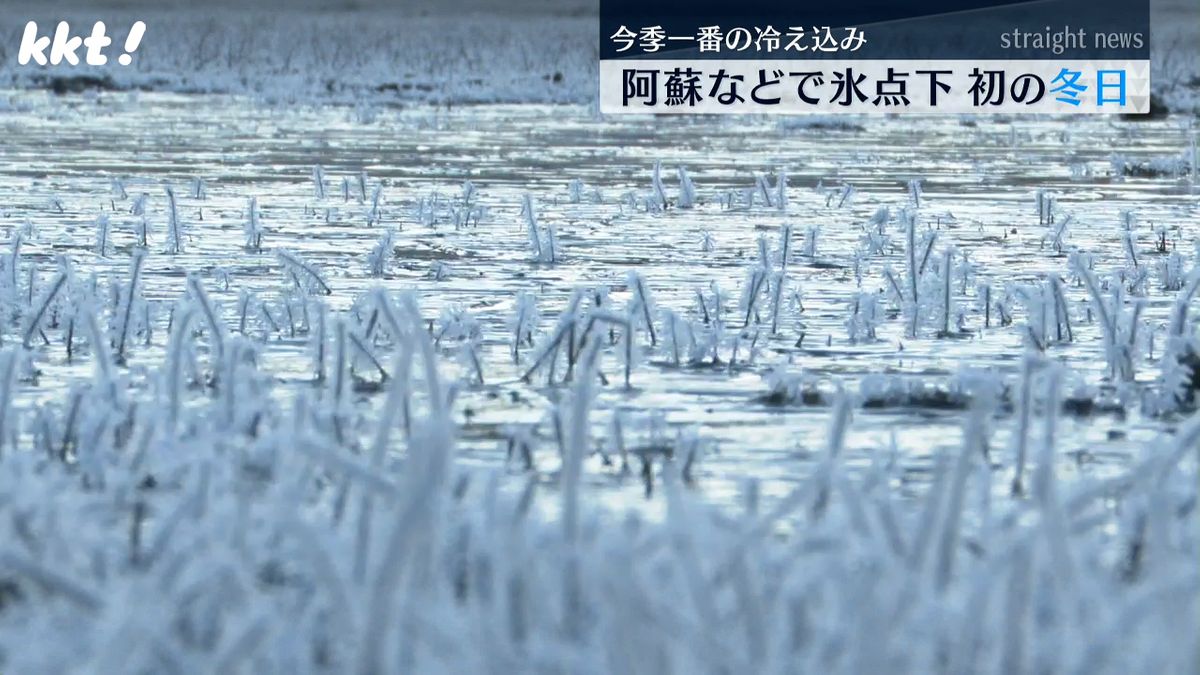 九州で一番冷えた!阿蘇で-2.4℃ 初の冬日 美しい光景広がる 天草ではかかしに霜