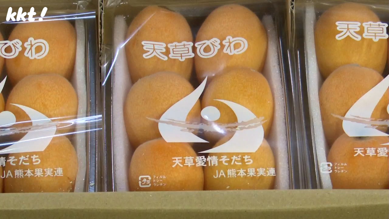 Amazon.co.jp: びわの種 1kg 2024年6月収穫分 クール冷凍便