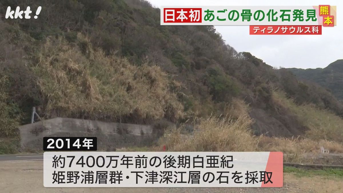 約7400万年前の後期白亜紀の姫野浦層群･下津深江層から石を採取