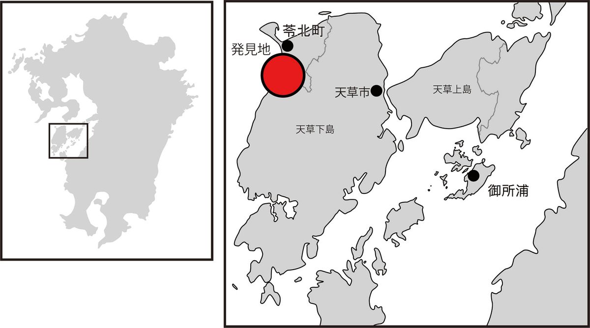 化石の発見地