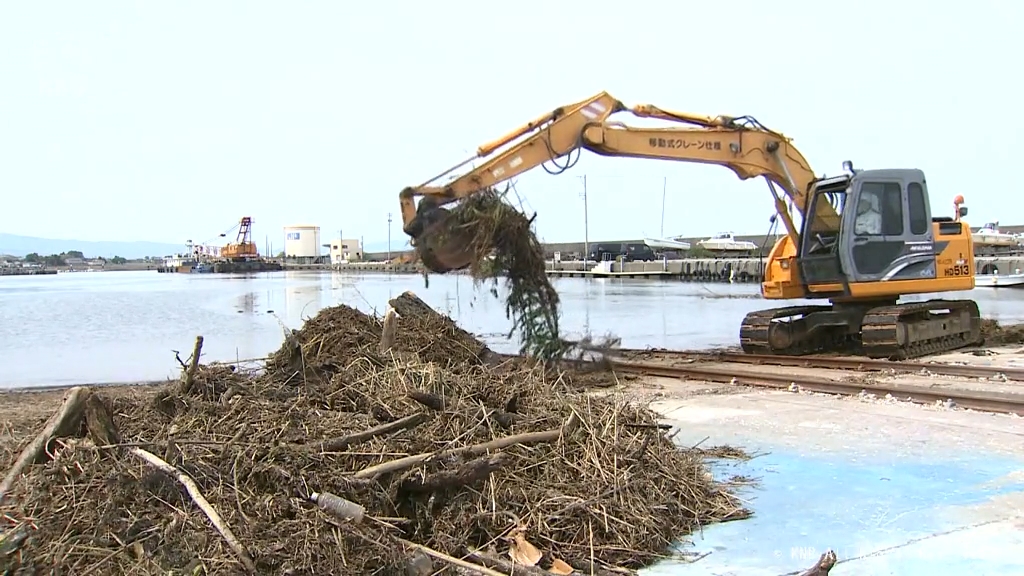 大雨影響か 大量の流木が港内に 魚津市の経田漁港（2024年5月29日掲載）｜KNB NEWS NNN