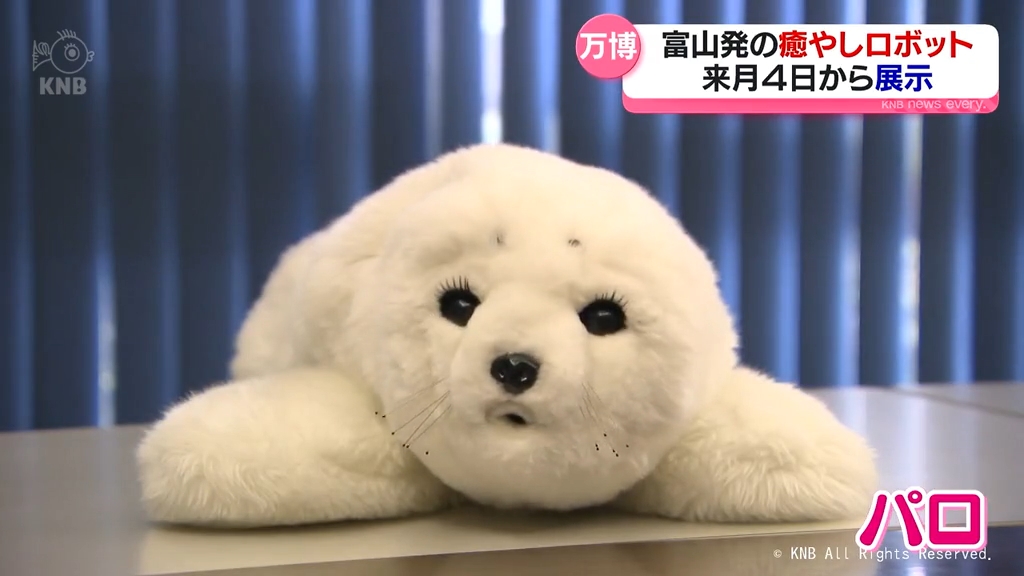 南砺市で製造 アザラシ型癒やしロボット 万博で展示（2025年4月23日