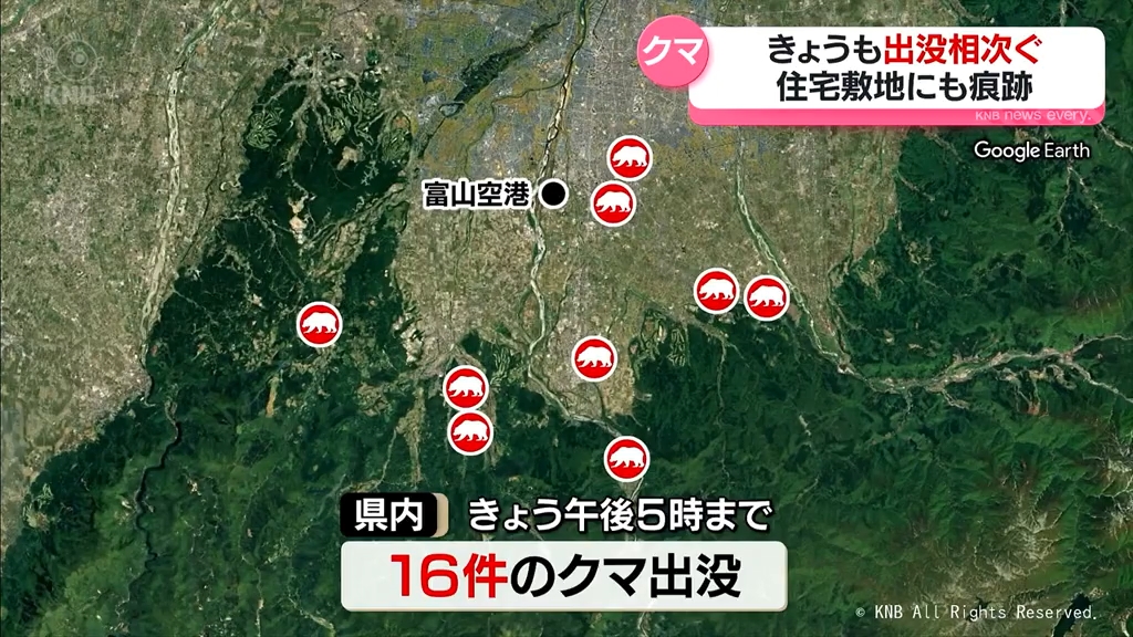こんなところに来るとはね」富山市できょうもクマの目撃相次ぐ 入善町