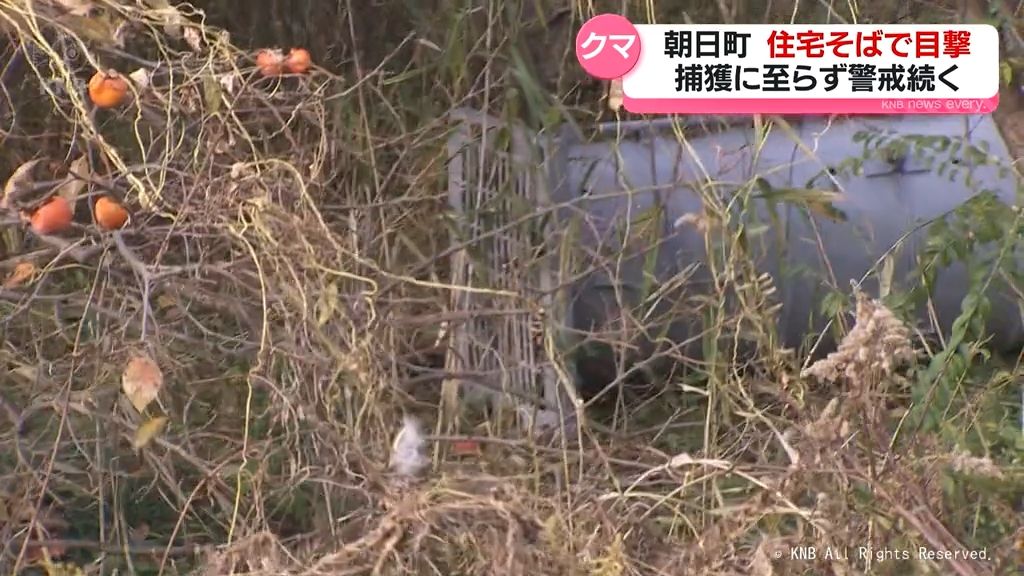 朝日町の住宅そばでクマ目撃相次ぐ　まだ捕獲に至らず