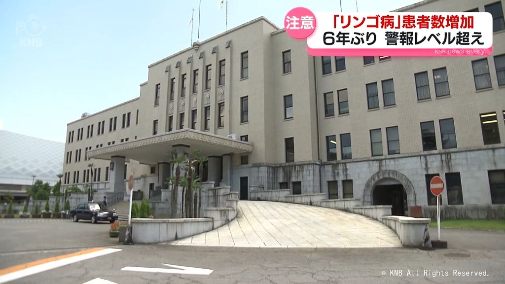 富山県内で「リンゴ病」患者数増加　6年ぶり警報レベルに