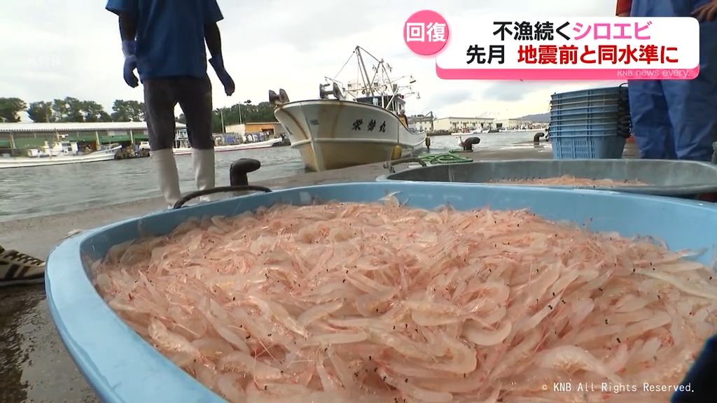 安心した」 富山湾シロエビの水揚げが回復の兆し 能登半島地震から深刻